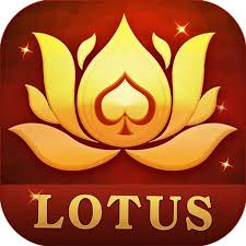 teen patti lodo download
